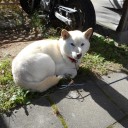 ものすごく寒くなって来たが