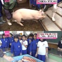 11月19日の日記