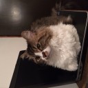 寒くなってきましたね。