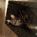 寒くなってきましたね。