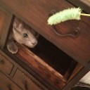 寒くなってきましたね。
