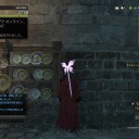 ドラゴンズドグマ オンライン その45