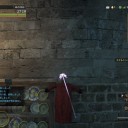 ドラゴンズドグマ オンライン その45