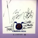 『X JAPAN JAPAN TOUR 2015』