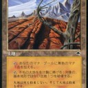 TMP価格変更、在庫補充完了！！