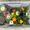 年内最後のお墓参り
