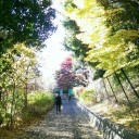 大分深まった