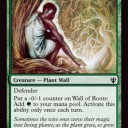 根の壁/Wall of Roots