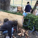 お餅つき