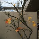 年内最後のスポーツクラブ