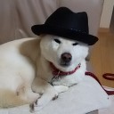 昨日は官公庁の