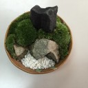コケリウム
