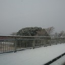 真っ白け