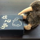 1/20 信心亭レガシー/ダークマーベリック/デッキケース拡張/MTG