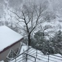 タイに行く日が決定