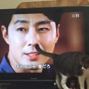 作り変えるものと緑赤トロン