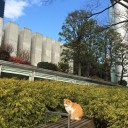 春休み