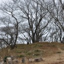 万歳時記ー旭川のいろどり３０・半田山７