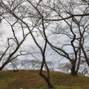 万歳時記ー旭川のいろどり３０・半田山７