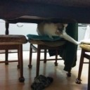 2月22日の日記