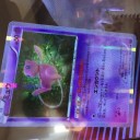 xyからポケカ始めたマンが綴るN再録について思ったこととその他雑記