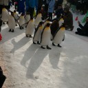 北海道旅行２日目のこと（３月１日）