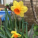 暖かい日曜日