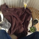 闘病１６日目