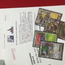 2016-03-12 有限会社タンヨジムバトル・カメックスジムバトル