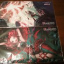 フェスティバルに行ってきました