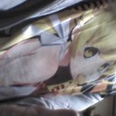 [趣味]ロリコン、ゲットだぜ！