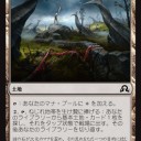 【イニ影】《荒原のカカシ》があれば吉