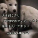久々に