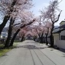 家の近所の