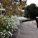 旭川のいろどり３９ー半田山１３