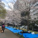4月3日