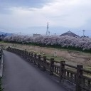 会津は今が