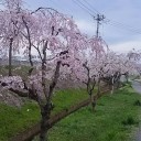 会津は今が