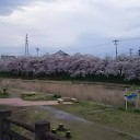 会津は今が