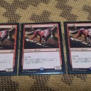 PPTQ@Draw(愛媛県)、ほか～シールド戦はそこそこやってるけど、こんなのは流石に初～