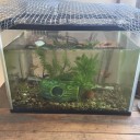 春は植物や生き物にとってはベストシーズン