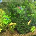 春は植物や生き物にとってはベストシーズン