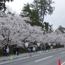20160423なんだけど