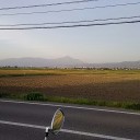 気温が上がり暑い位の好天の日曜日だったので