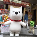 6年半