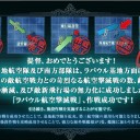 【艦これ】春イベE-5【甲】
