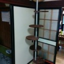 5月11日の日記