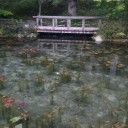 岐阜　1日目～PPTQ@こども楽園、モネの池～
