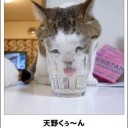 いやぁ具合悪かった。