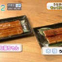 6月10日の日記